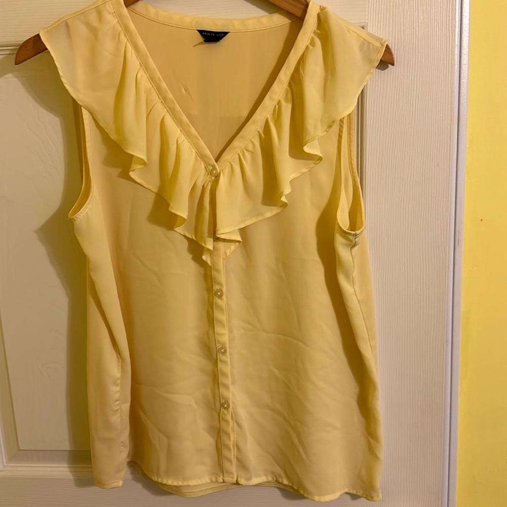 Anne Taylor blouse